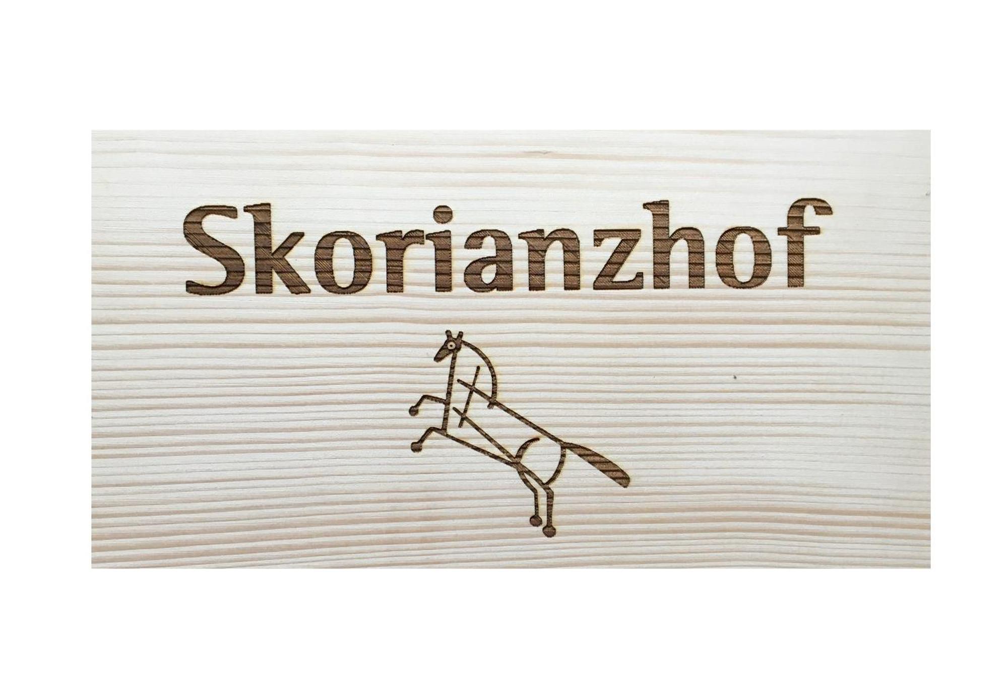 Отель Skorianzhof Эберндорф Экстерьер фото